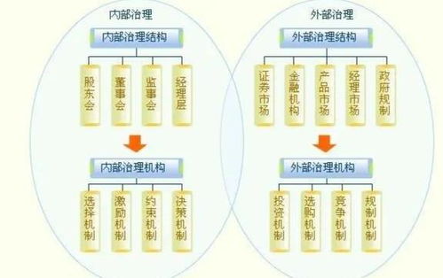 企业治理与企业管理 差异与协同
