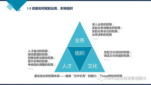 阿里巴巴组织能力建设 从“铁军”到“数字经济体”的进化之道